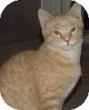 Duncan (11319229)