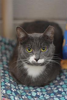 Ella (21750994)