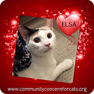Elsa (18747381)