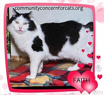 Faith (19869878)