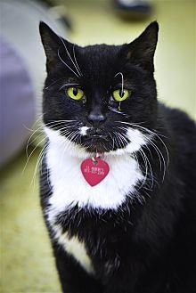 Gidget (21735416)