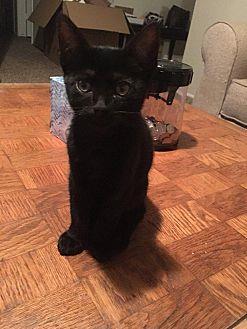 Harry (21808880)