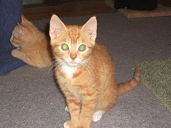 Jasper (15185538)
