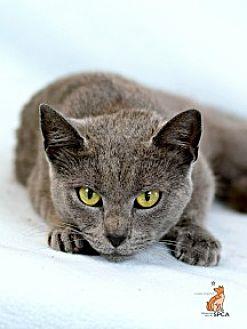 Jenny (21620342)
