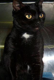 Lucy 3 (21845500)