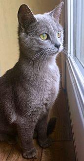 Luna (21689775)