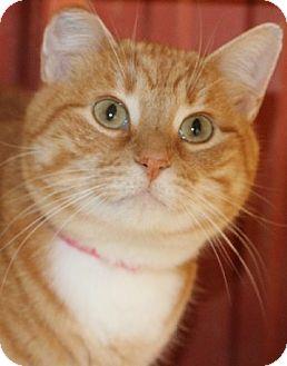 Marmalade (11256274)
