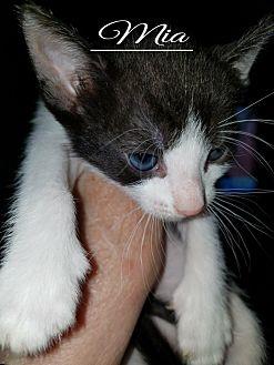 Mia (21717816)