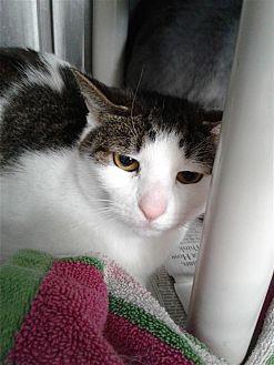 Micka (21648751)