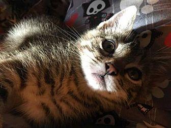 Millie (21831704)