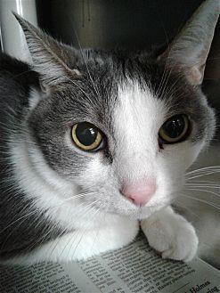 Ming (21648752)