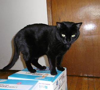Minxie (21403607)