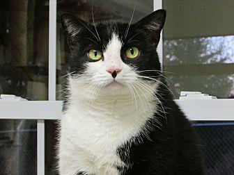 Mittens (20137225)