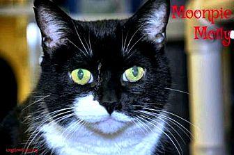 Molly (19950631)