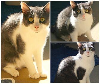Molly (21650739)