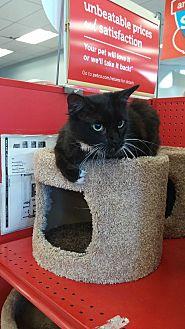 Mouse (12763610)