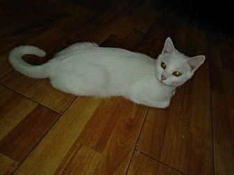 Pearl (21763199)