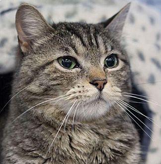 RASCAL (21496793)