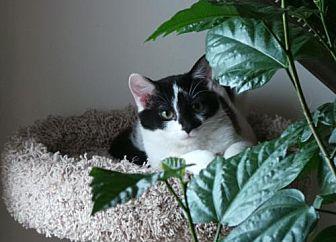 Reva (female (20002851)