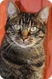 Ricky (11256436)