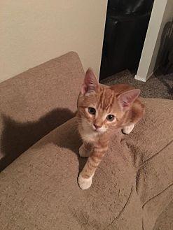 Ron (21808881)