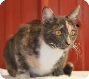 Sally (11256272)