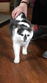 Smudge (21351867)