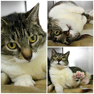 Snickers (21838570)