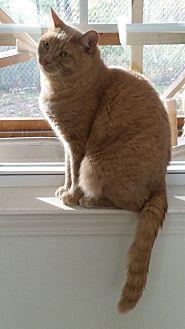 Stanley (20137339)