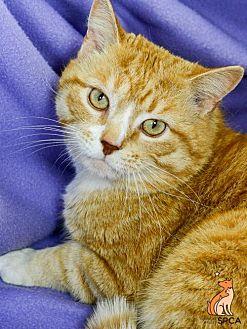 Thorne (21679953)