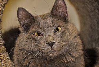 Tippy (21320201)