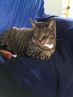 Tommy (21351504)