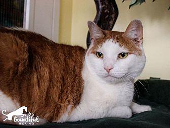 Twinky (20065168)