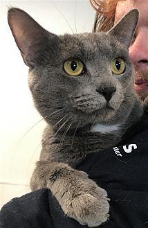 Walter (21763348)