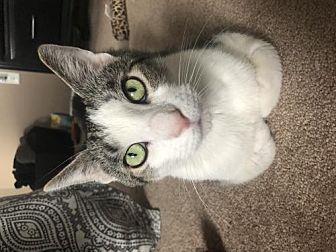 Watson (21789741)