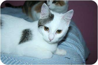 Astrid (5940768)